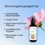 Energie Essenz Jesus