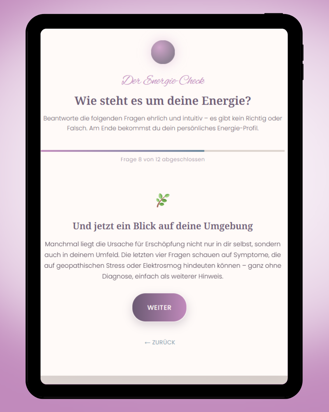 Der Energie-Check